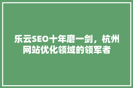 乐云SEO十年磨一剑，杭州网站优化领域的领军者  第1张