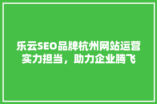 乐云SEO品牌杭州网站运营实力担当，助力企业腾飞