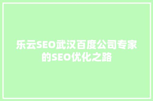 乐云SEO武汉百度公司专家的SEO优化之路