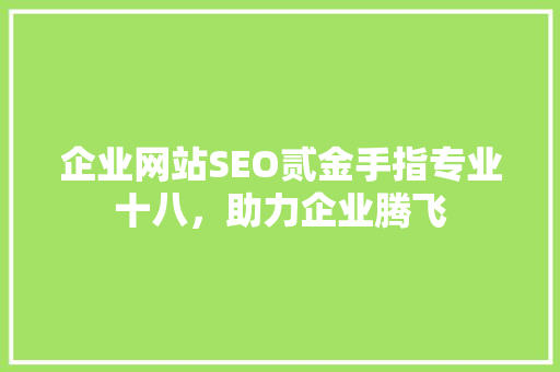 企业网站SEO贰金手指专业十八，助力企业腾飞