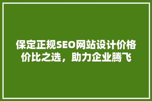 保定正规SEO网站设计价格价比之选，助力企业腾飞