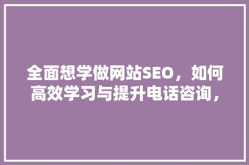 全面想学做网站SEO，如何高效学习与提升电话咨询，助你一臂之力