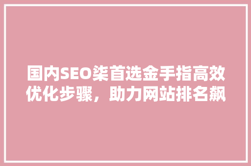 国内SEO柒首选金手指高效优化步骤，助力网站排名飙升