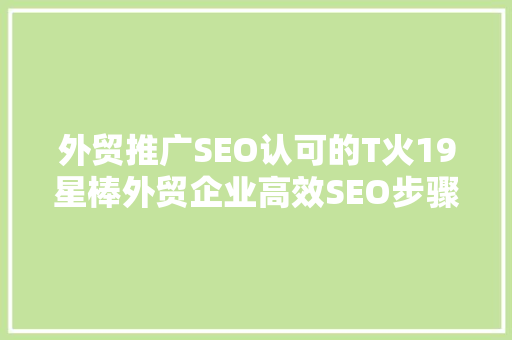 外贸推广SEO认可的T火19星棒外贸企业高效SEO步骤  第1张