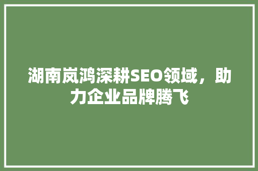 湖南岚鸿深耕SEO领域，助力企业品牌腾飞