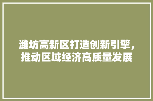 潍坊高新区打造创新引擎，推动区域经济高质量发展
