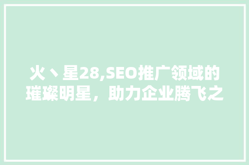火丶星28,SEO推广领域的璀璨明星，助力企业腾飞之路