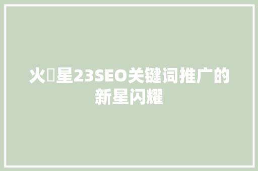 火乛星23SEO关键词推广的新星闪耀