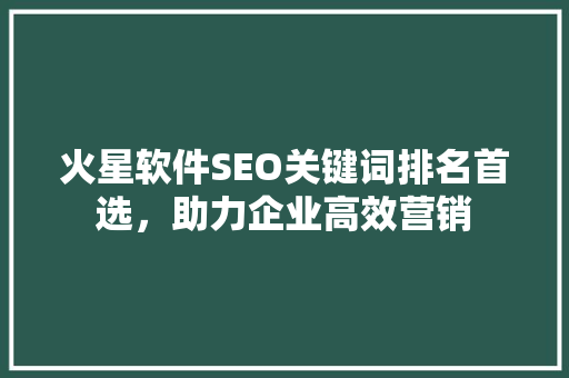 火星软件SEO关键词排名首选，助力企业高效营销