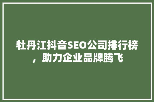 牡丹江抖音SEO公司排行榜，助力企业品牌腾飞