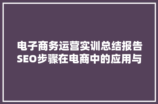电子商务运营实训总结报告SEO步骤在电商中的应用与方法