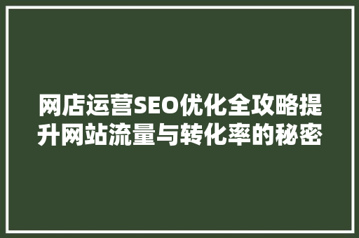 网店运营SEO优化全攻略提升网站流量与转化率的秘密武器