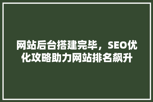 网站后台搭建完毕，SEO优化攻略助力网站排名飙升
