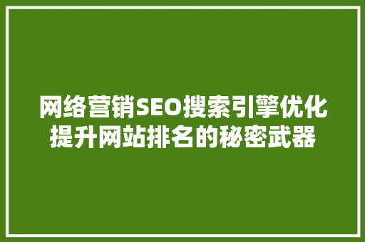 网络营销SEO搜索引擎优化提升网站排名的秘密武器