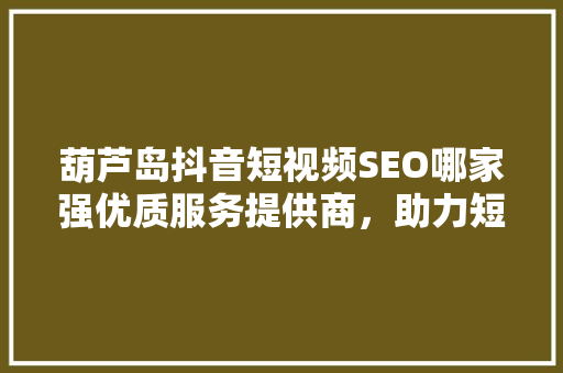 葫芦岛抖音短视频SEO哪家强优质服务提供商，助力短视频营销腾飞