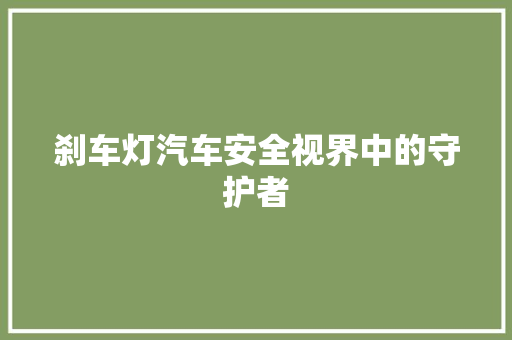 刹车灯汽车安全视界中的守护者