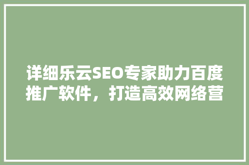 详细乐云SEO专家助力百度推广软件，打造高效网络营销步骤