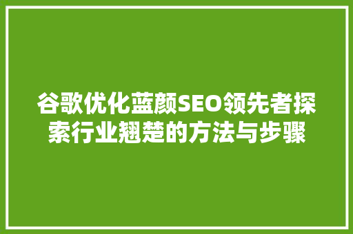 谷歌优化蓝颜SEO领先者探索行业翘楚的方法与步骤