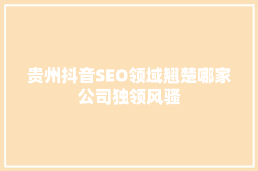 贵州抖音SEO领域翘楚哪家公司独领风骚