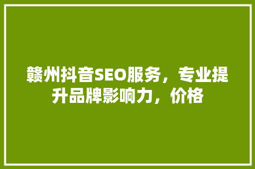 赣州抖音SEO服务，专业提升品牌影响力，价格