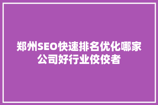 郑州SEO快速排名优化哪家公司好行业佼佼者