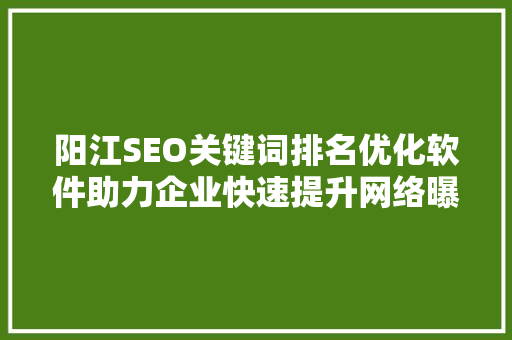 阳江SEO关键词排名优化软件助力企业快速提升网络曝光度