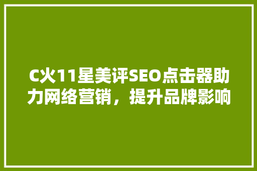 C火11星美评SEO点击器助力网络营销，提升品牌影响力