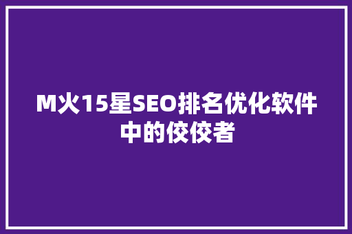 M火15星SEO排名优化软件中的佼佼者
