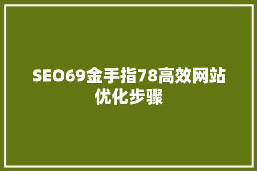SEO69金手指78高效网站优化步骤
