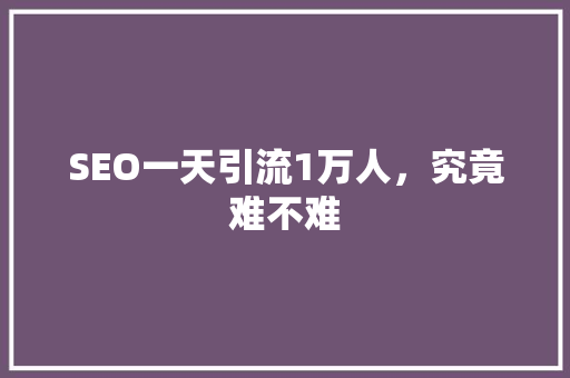 SEO一天引流1万人，究竟难不难