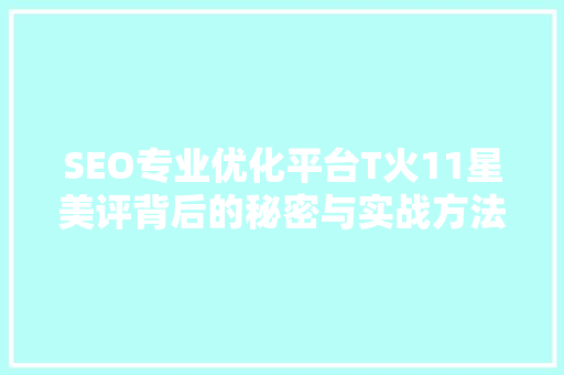 SEO专业优化平台T火11星美评背后的秘密与实战方法