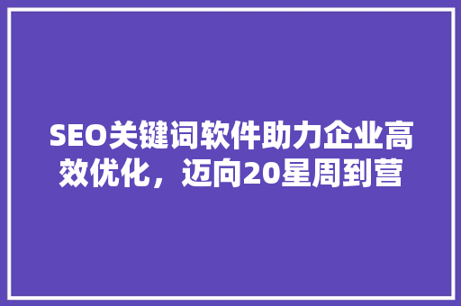 SEO关键词软件助力企业高效优化，迈向20星周到营销新境界