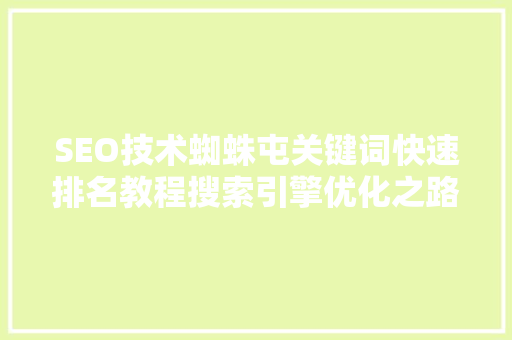 SEO技术蜘蛛屯关键词快速排名教程搜索引擎优化之路