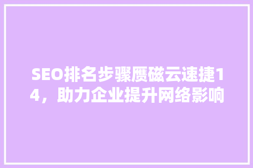 SEO排名步骤赝磁云速捷14，助力企业提升网络影响力