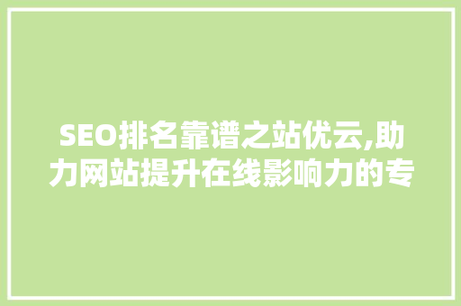 SEO排名靠谱之站优云,助力网站提升在线影响力的专业平台