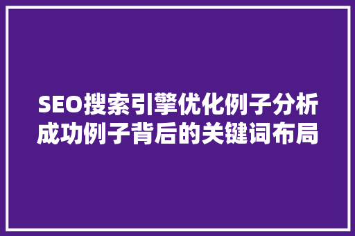 SEO搜索引擎优化例子分析成功例子背后的关键词布局步骤