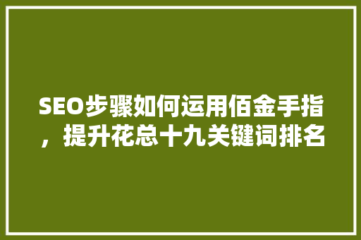 SEO步骤如何运用佰金手指，提升花总十九关键词排名