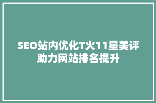 SEO站内优化T火11星美评助力网站排名提升