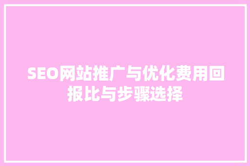 SEO网站推广与优化费用回报比与步骤选择