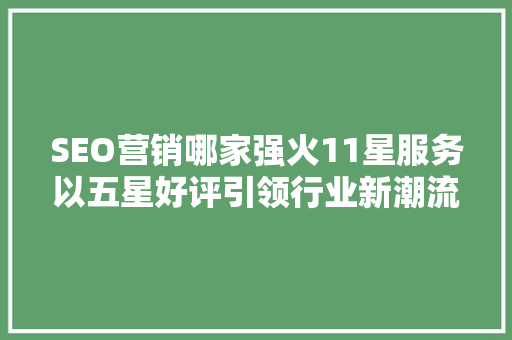 SEO营销哪家强火11星服务以五星好评引领行业新潮流