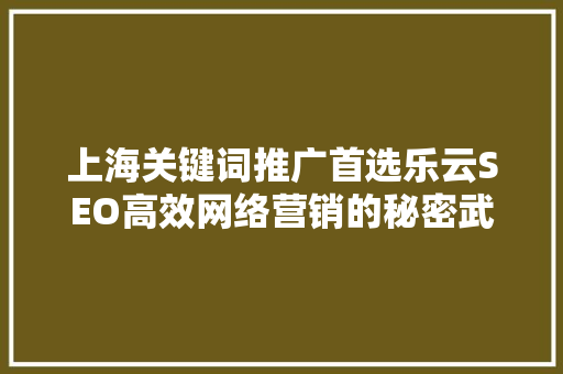 上海关键词推广首选乐云SEO高效网络营销的秘密武器