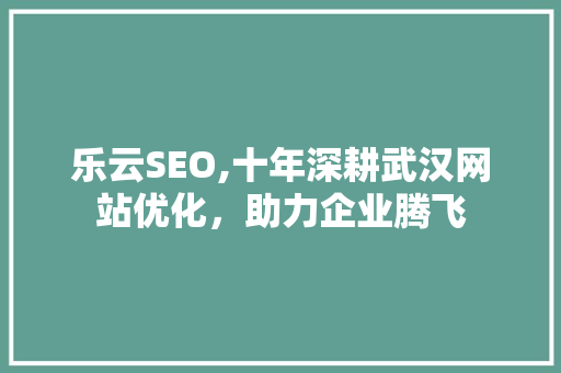 乐云SEO,十年深耕武汉网站优化，助力企业腾飞