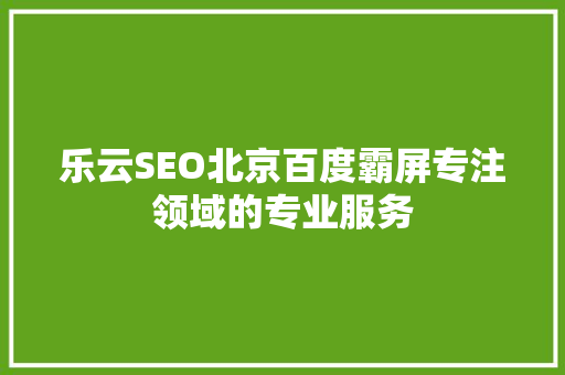 乐云SEO北京百度霸屏专注领域的专业服务