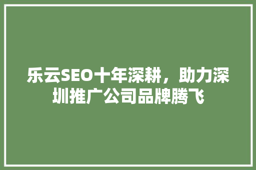 乐云SEO十年深耕，助力深圳推广公司品牌腾飞