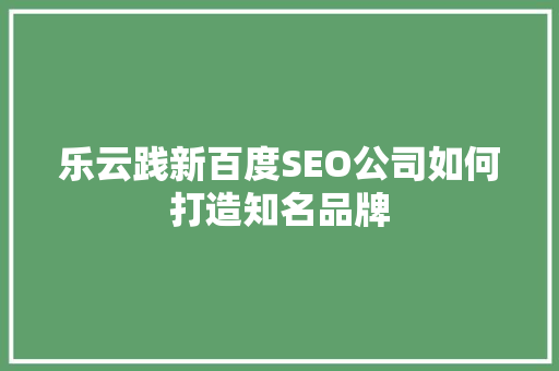 乐云践新百度SEO公司如何打造知名品牌