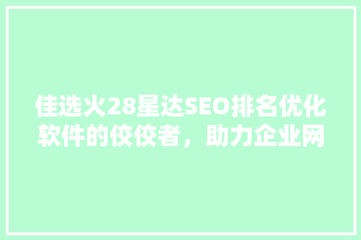 佳选火28星达SEO排名优化软件的佼佼者，助力企业网站腾飞