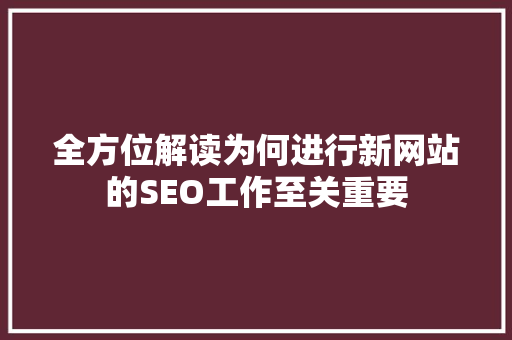 全方位解读为何进行新网站的SEO工作至关重要