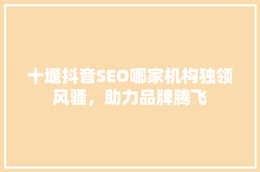 十堰抖音SEO哪家机构独领风骚，助力品牌腾飞