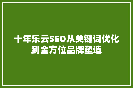 十年乐云SEO从关键词优化到全方位品牌塑造