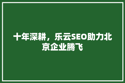十年深耕，乐云SEO助力北京企业腾飞